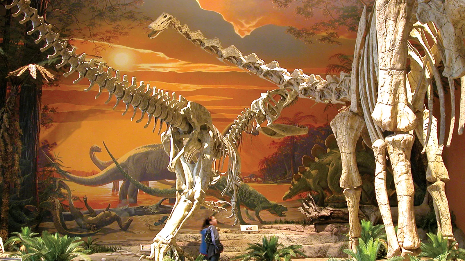 New Mexico Museum of Natural History & Science
