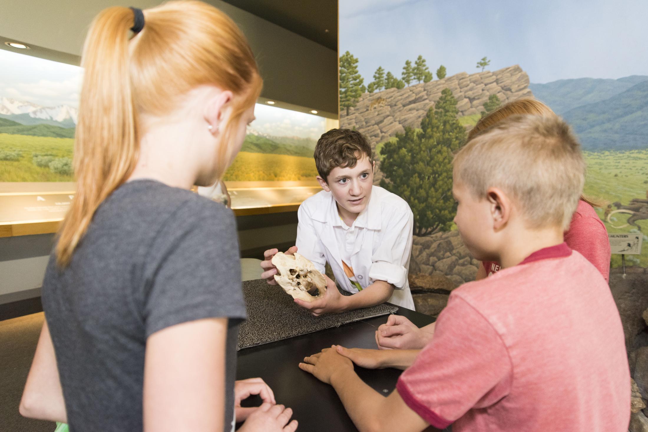 A junior Docent showing visitors a dinosaur skull