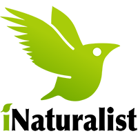 INaturalist_logo iNaturalist logo