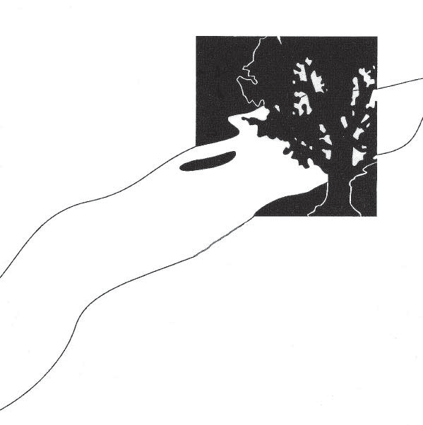 Appendices_intro Illustration of a path leading to a tree