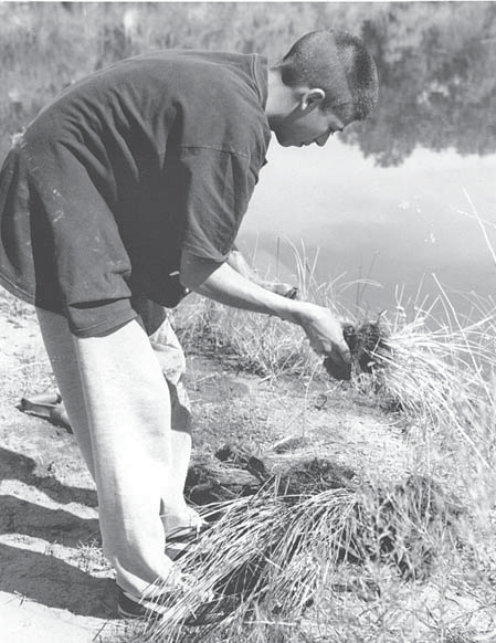 RioGrandeHS_service-learning High School student pulling weeds by the Rio Grande