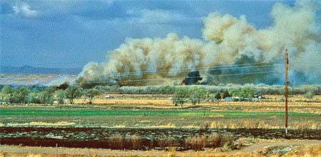 bosque_fire_tish The bosque burning in 1996
