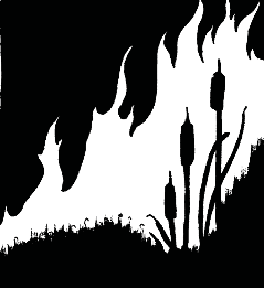 fireIntro Illustration of fire in Bosque
